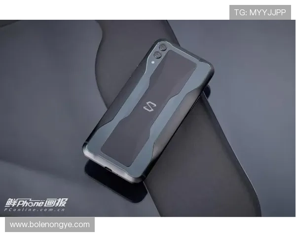 皇冠手机版会员登录遇到问题怎么办，全面解决方案助你顺利登录平台