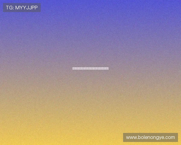 澳门皇冠开户优惠方案推荐，提升您的投注体验与收益