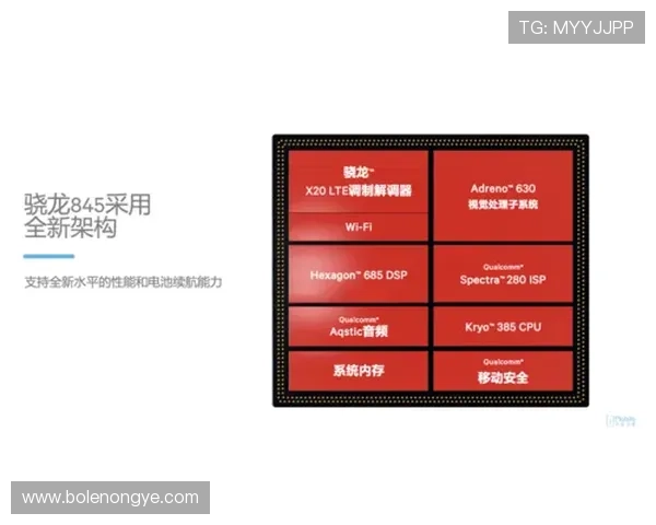 皇冠vip会员尊享特权详细解读提升你的尊贵体验感受 皇冠vip会员尊享特权详细解读提升你的尊贵体验感受