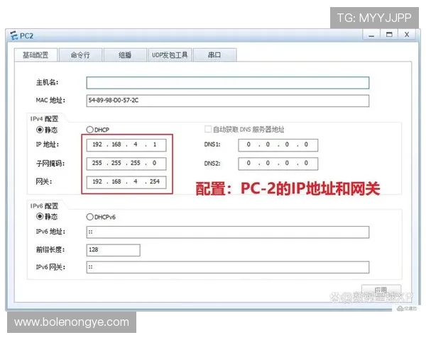 皇冠登陆ip网址详细解析，帮助用户轻松找到官方登录入口地址