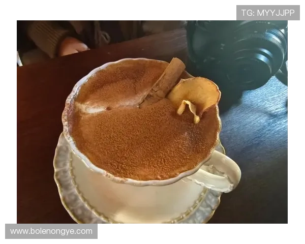 在澳门摩卡享受下午茶时光，感受浓郁香气带来的惬意与放松体验