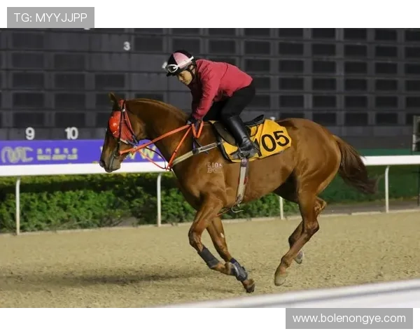 澳门赛马日赛事精彩瞬间盘点回顾难忘的激烈比赛场面