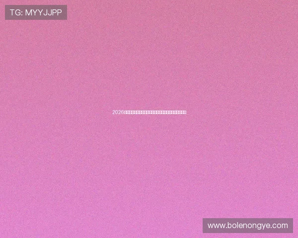 2026年六合彩电子游戏平台最新优惠活动与注册流程详细指南